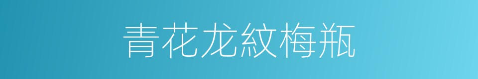 青花龙紋梅瓶的同義詞