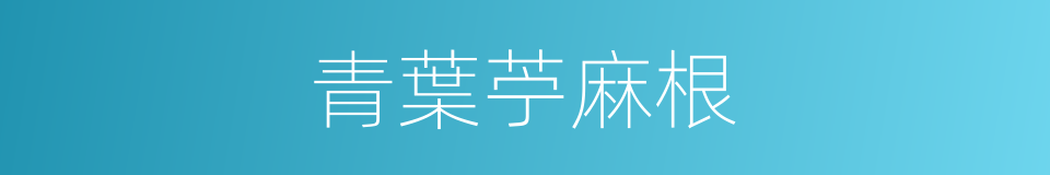 青葉苧麻根的同義詞
