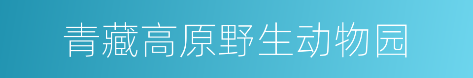 青藏高原野生动物园的同义词