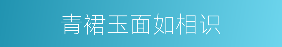 青裙玉面如相识的同义词