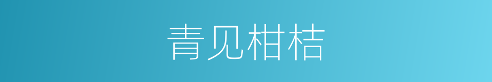 青见柑桔的同义词