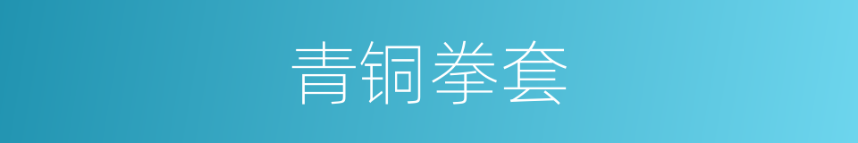 青铜拳套的同义词