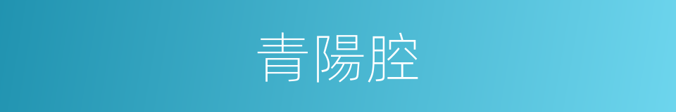 青陽腔的意思