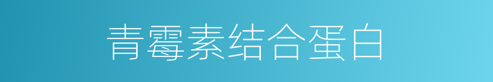 青霉素结合蛋白的同义词