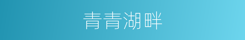青青湖畔的同义词
