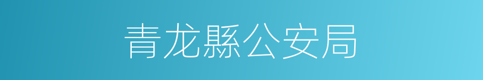 青龙縣公安局的同義詞
