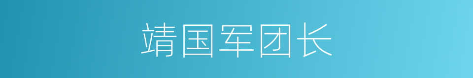 靖国军团长的同义词