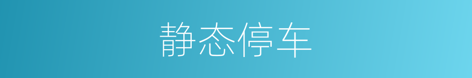 静态停车的同义词