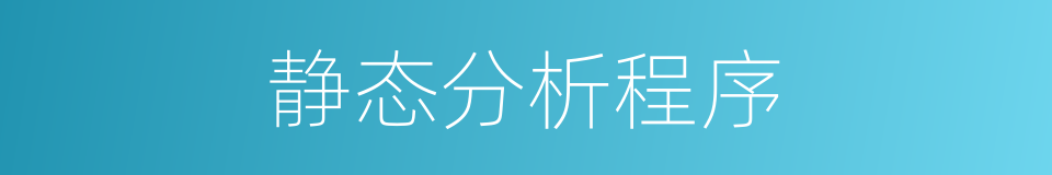 静态分析程序的同义词