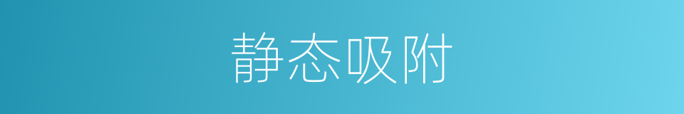 静态吸附的同义词