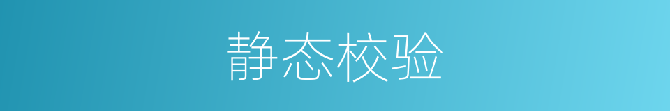 静态校验的同义词