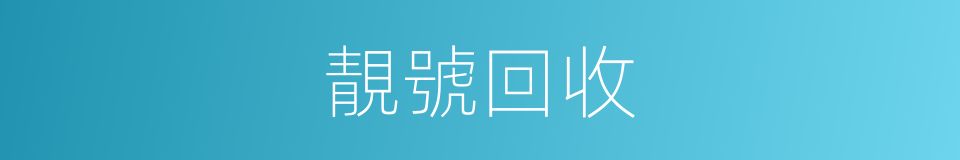 靚號回收的同義詞