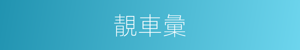 靚車彙的同義詞