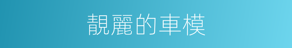 靚麗的車模的同義詞