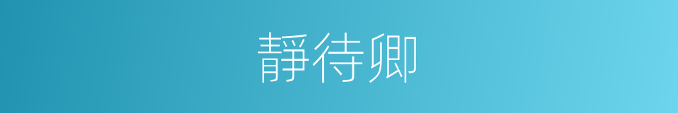 靜待卿的同義詞