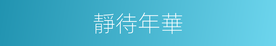 靜待年華的同義詞