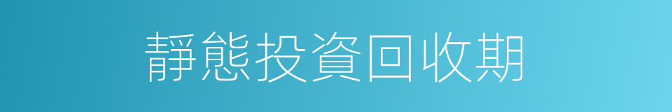 靜態投資回收期的同義詞