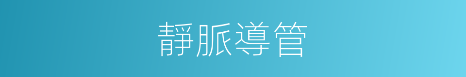 靜脈導管的同義詞