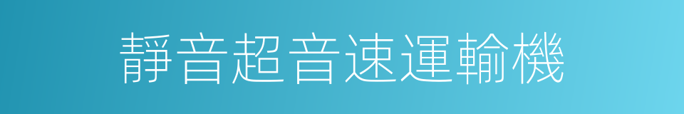 靜音超音速運輸機的同義詞