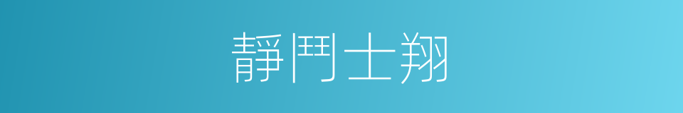 靜鬥士翔的同義詞