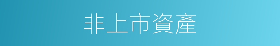 非上市資產的同義詞