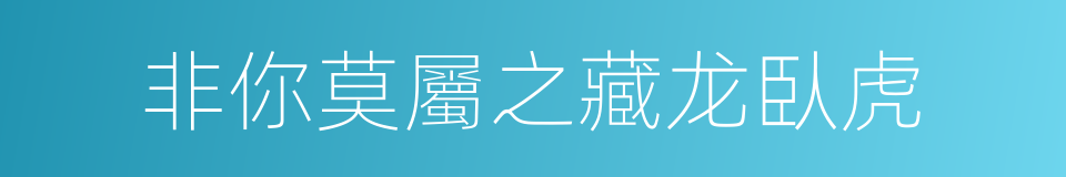 非你莫屬之藏龙臥虎的同義詞