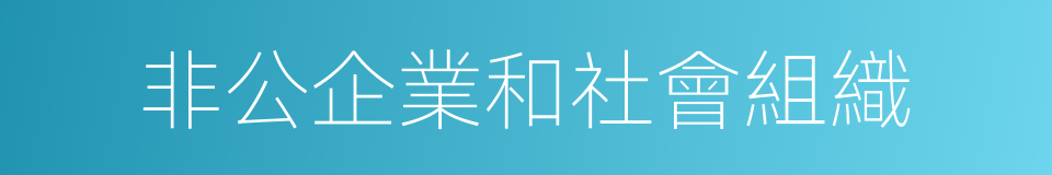 非公企業和社會組織的同義詞