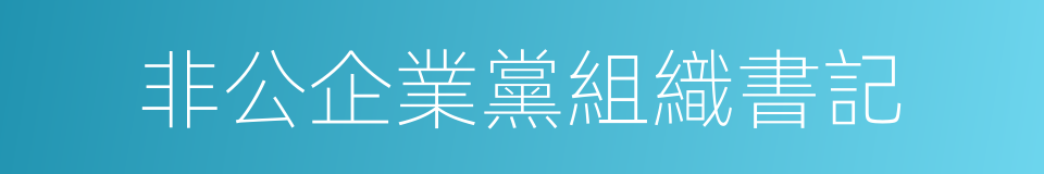 非公企業黨組織書記的同義詞