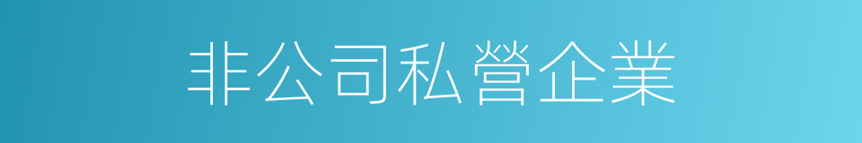 非公司私營企業的同義詞