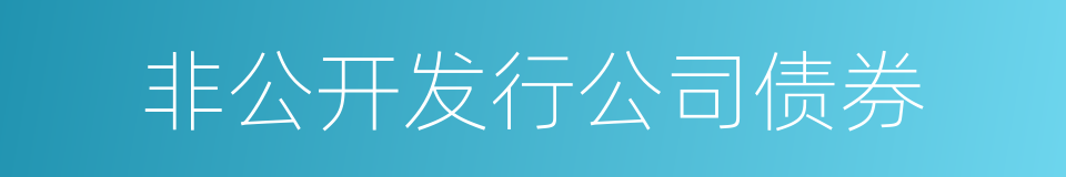 非公开发行公司债券的同义词