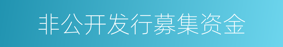 非公开发行募集资金的同义词