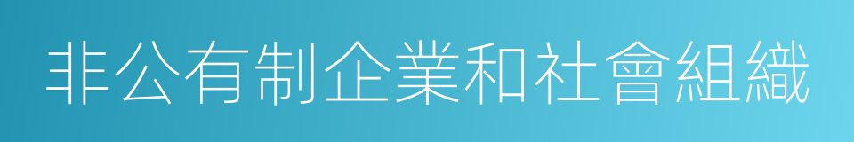 非公有制企業和社會組織的同義詞