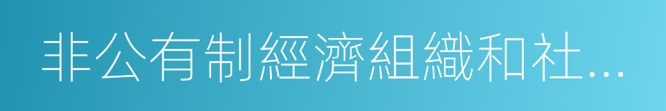 非公有制經濟組織和社會組織的同義詞