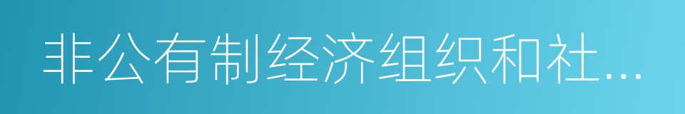 非公有制经济组织和社会组织的同义词