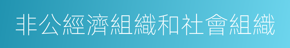 非公經濟組織和社會組織的同義詞