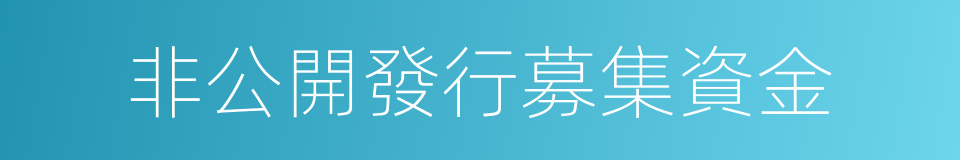 非公開發行募集資金的同義詞