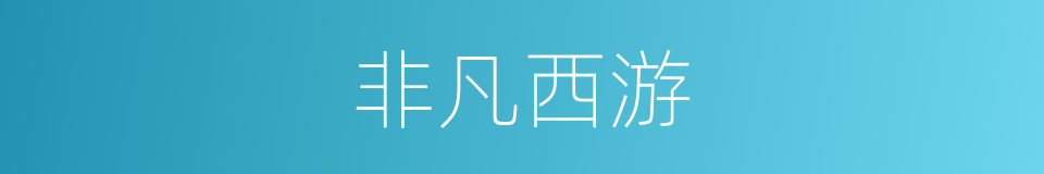 非凡西游的同义词