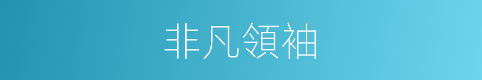 非凡領袖的同義詞