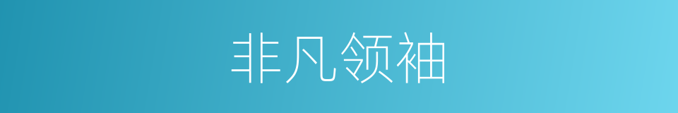 非凡领袖的同义词
