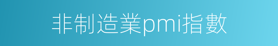 非制造業pmi指數的同義詞