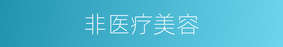 非医疗美容的意思