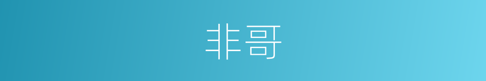 非哥的同义词