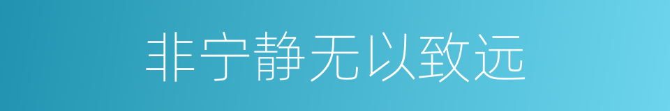 非宁静无以致远的同义词