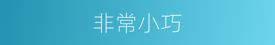 非常小巧的同义词