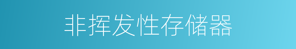 非挥发性存储器的同义词