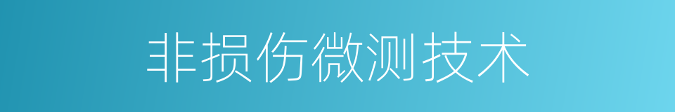 非损伤微测技术的同义词