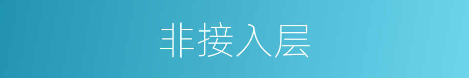 非接入层的同义词