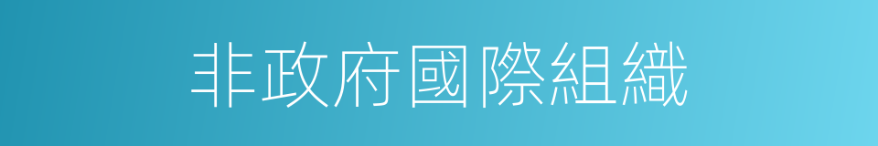 非政府國際組織的同義詞