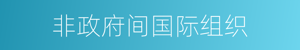 非政府间国际组织的同义词