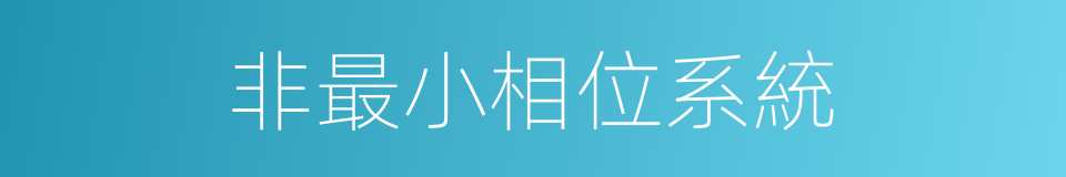 非最小相位系統的同義詞